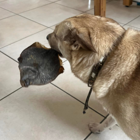 Flétans entiers séchés pour tous les chiens
