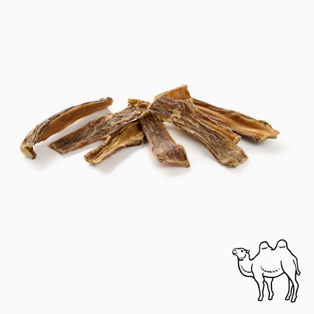 Gorge de Chameau – Friandise naturelle & peu calorique