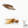 Oreilles de cerf séchées (avec ou sans fourrure)