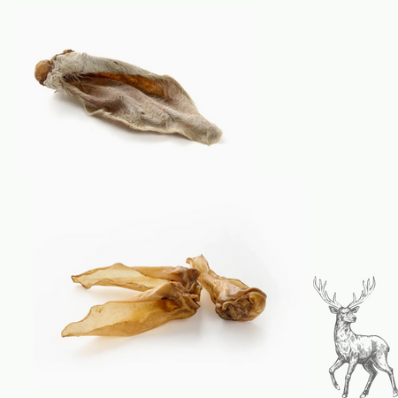Oreilles de cerf séchées (avec ou sans fourrure)