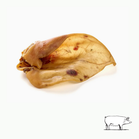 Oreilles de porc : le snack gourmet pour les chiens mâcheurs - 3 tailles