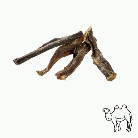 🐪 Viande de chameau séchée – faible en gras
