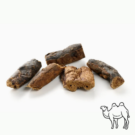 🐪 Poumon de chameau séchée - facile à mâcher