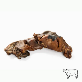 🟠 Museaux de boeuf sans fourrure  15-20cm