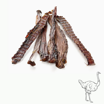 🦩 Gorges d’autruche séchées - 12/15cm