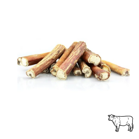 Nerfs de bœuf de 12cm/30cm (Bully Stick) - Mastication longue durée