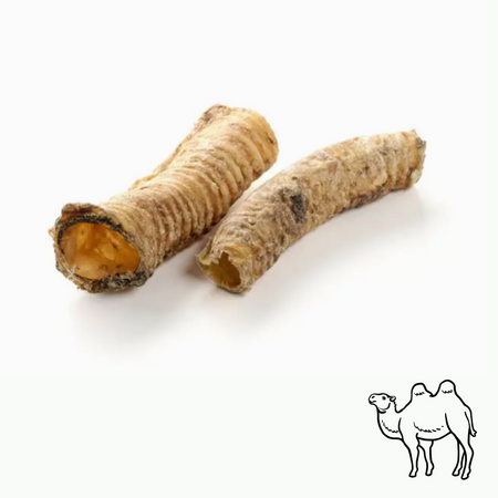 Trachées de chameau séchées – Mastication courte à moyenne