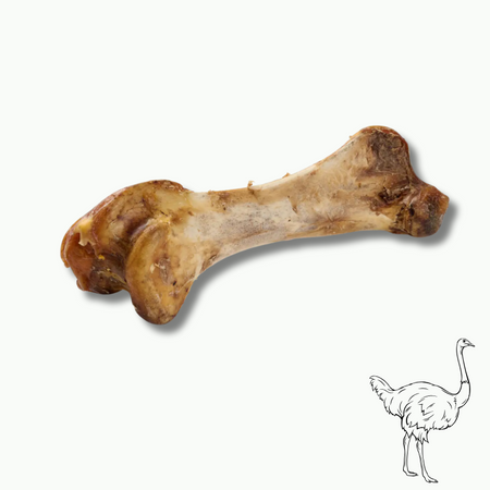Os d' autruche XXL - mastication longue durée