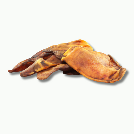 Oreilles de porc Ibérique : le snack gourmet pour les chiens mâcheurs