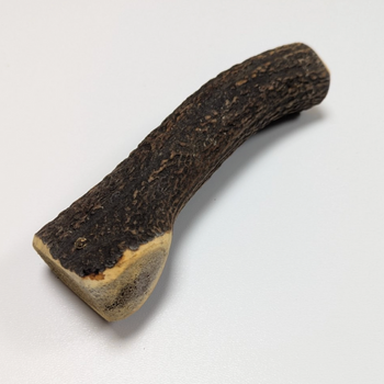 Bois de cerf entier fumé au jambon de façon artisanale 🇫🇷