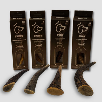 Bois de cerf entier fumé au jambon de façon artisanale 🇫🇷