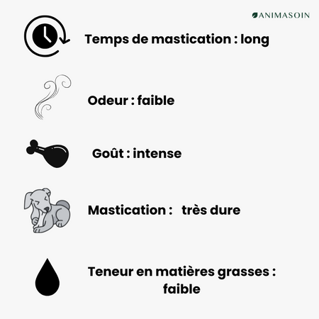 Tresses de peaux de buffle - Mastication longue durée