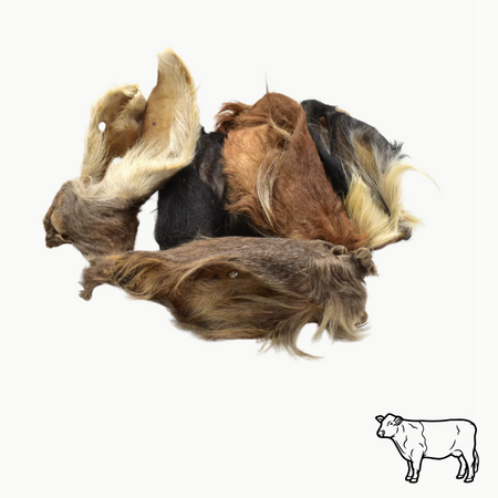 Oreilles de boeufs séchées AVEC fourrure