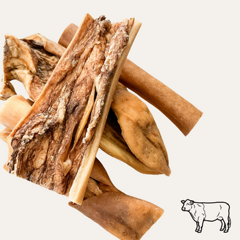 Peaux de boeufs - 15 cm - cuites et séchées au four (petits&moyens chiens)