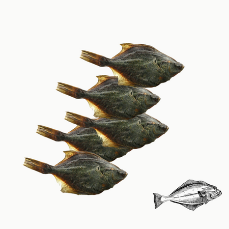 Flétans entiers séchés pour tous les chiens