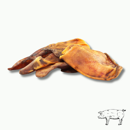 Oreilles de porc Ibérique : le snack gourmet pour les chiens mâcheurs