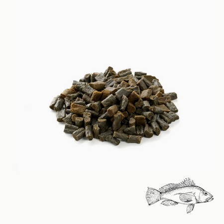 Friandises d'éducation au Bar 🐟