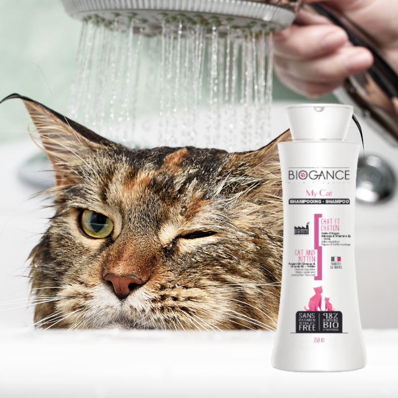 Shampoing pour chat et chaton Biogance