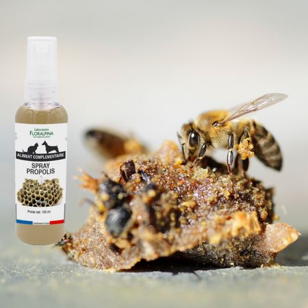 Spray Propolis - Hygiène Bucco-dentaire/Soin cutanée