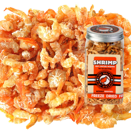 Crevettes 100% lyophilisées (chien ou chat)