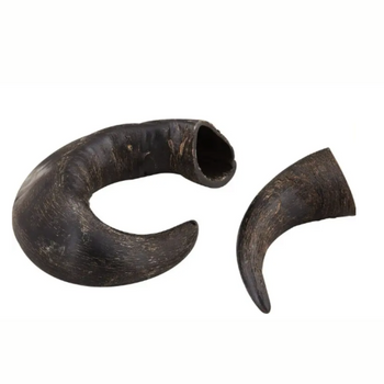 🔴 Corne de buffle pour chien creuse ou pleine