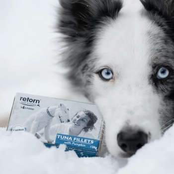 Filet de Thon - aux pommes/patate douce/carottes
