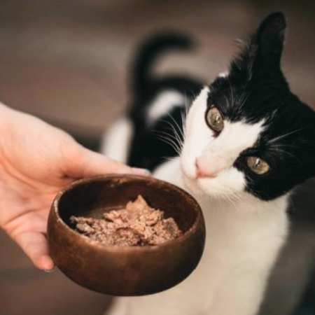 Pâtée pour chat - Lapin et Poulet Retorn