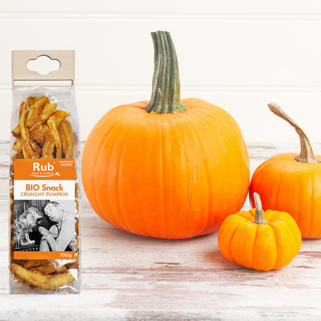 Tranches de courges déshydratées 100 % Bio pour chiens