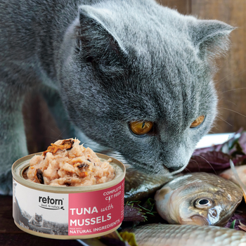 Pâtée pour chat - Thon et Moules ou crevettes de Retorn