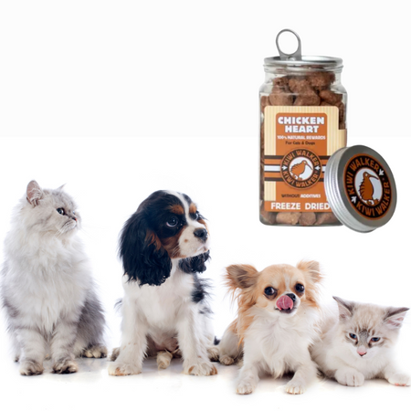 Coeurs de poulet lyophilisés (chat ou chien)