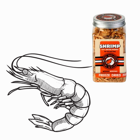 Crevettes 100% lyophilisées (chien ou chat)