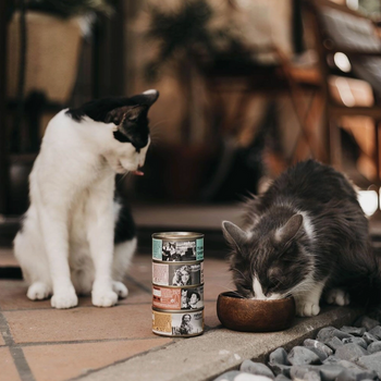 Pâtée pour chat - Thon  et Saumon Retorn