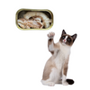 Saumon pour chat