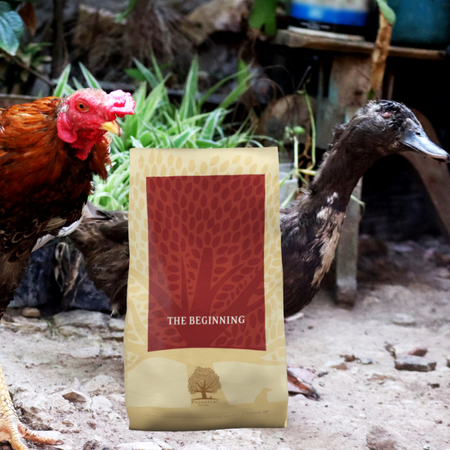 Croquettes Essential Foods The Beginning - Poulet&Canard - Chiots petites races