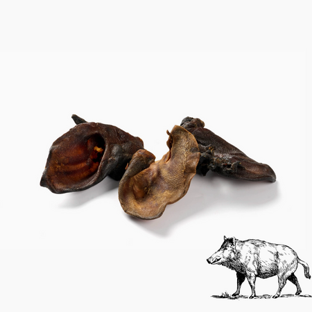 Oreilles de sanglier - Mastication longue durée