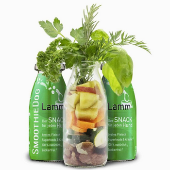 🐑 SmoothieDog Agneau – Le smoothie doux et digeste pour chiens sensibles