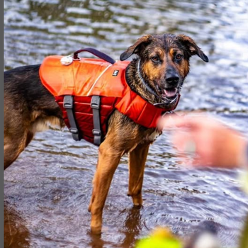 Gilet de Sauvetage pour Chien – Hurtta Life Savior Eco