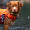 Gilet de Sauvetage pour Chien – Hurtta Life Savior Eco