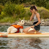 Gilet de Sauvetage pour Chien – Hurtta Life Savior Eco