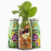 Smoothie pour chien aux légumes - carottes, potiron, betterave, herbes