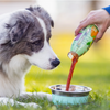 Smoothie pour chien aux légumes - carottes, potiron, betterave, herbes