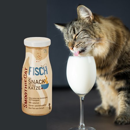 Boisson 100% naturelle pour chats au poisson - gourmande et hydratante