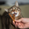 Bâtonnets pour chats : santé dentaire et plaisir garantis - Poulet ou Saumon