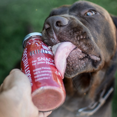 Smoothie pour chien - Rind- Boeuf, betterave et carottes