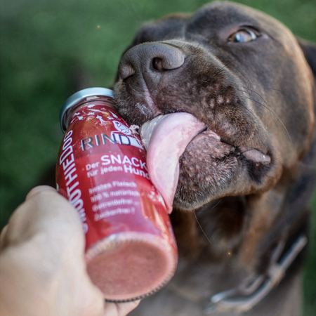 Smoothie pour chien - Boeuf, betterave et carottes