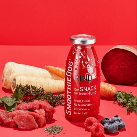 Smoothie pour chien - Rind- Boeuf, betterave et carottes