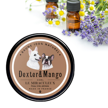 Baume anti-démangeaison Le Miraculeux – pour chien