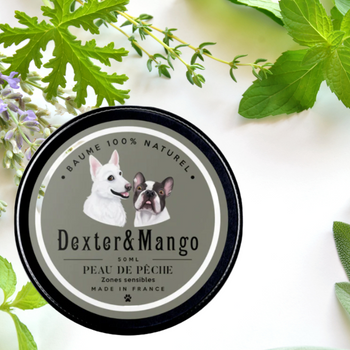 Baume Peau de Pêche – zones sensibles - pour chien