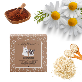 Shampoing solide anti-démangeaisons - pour chien – Le Miraculeux 🧼🌿