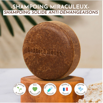 Shampoing solide anti-démangeaisons - pour chien – Le Miraculeux 🧼🌿